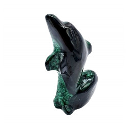dolphin malachite