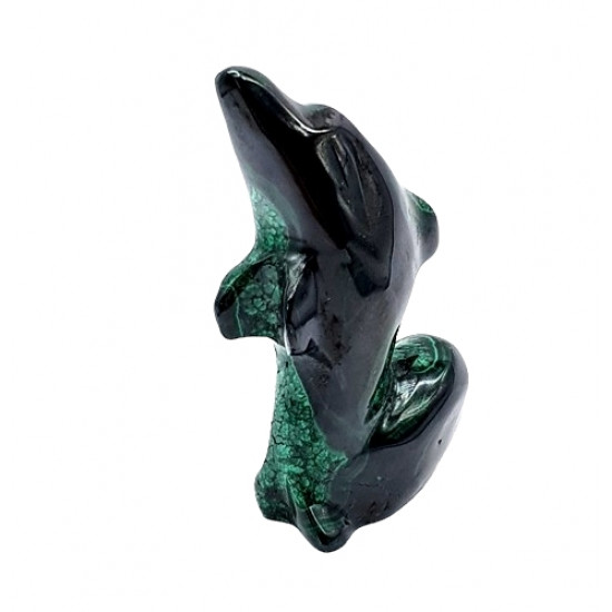 dolphin malachite