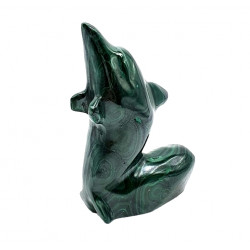 dolphin malachite