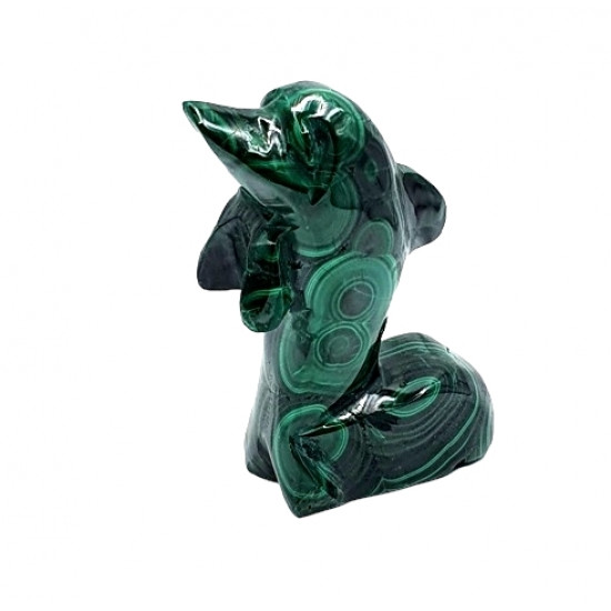 dolphin malachite