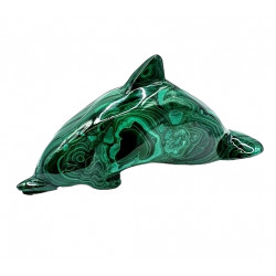 dolphin malachite