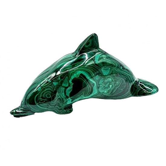 dolphin malachite