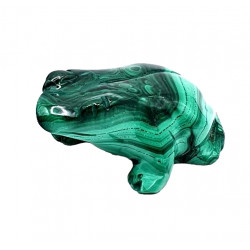 frog malachite