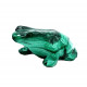 grenouille malachite