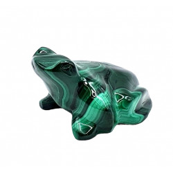 frog malachite