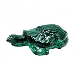 tortue malachite