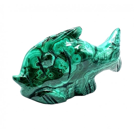 poisson malachite