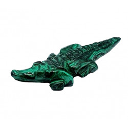 crocodile malachite