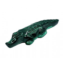 crocodile malachite