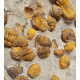 Symphysurus sp