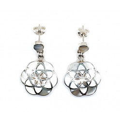shell earrings silver 