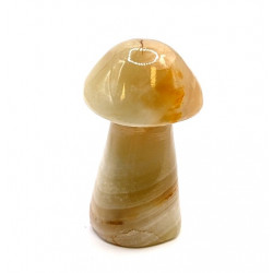 Champignon onyx 4.5cm