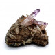 amethyst from veracruz