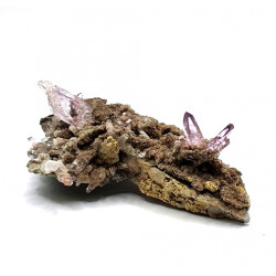 amethyst from veracruz