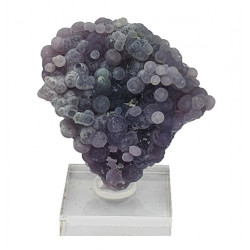 agate raisin