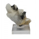 tourmaline verte sur quartz