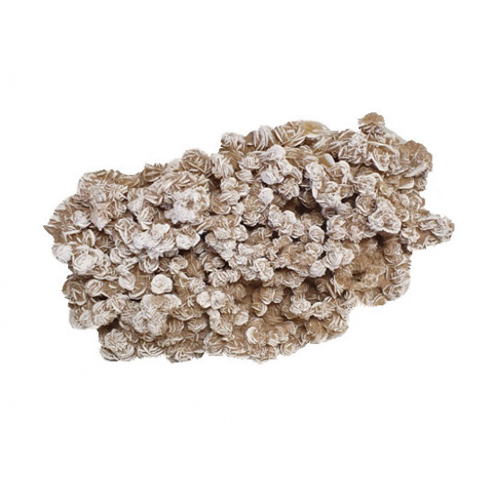 desert rose
