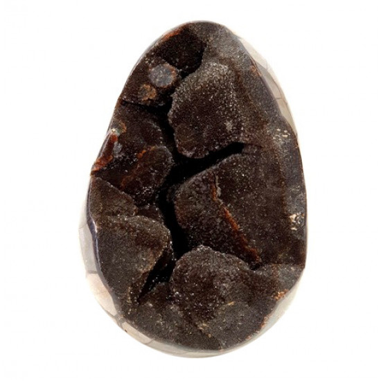 black septarian egg