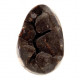 black septarian egg