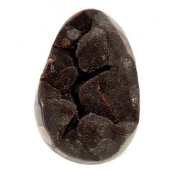 black septarian egg