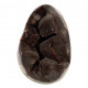 black septarian egg