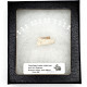 Palaeolagus haydeni (rabbit jaw)