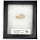Palaeolagus haydeni (rabbit jaw)