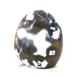 Orca Agate Free Form