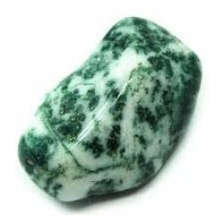 tumbled stone tree agate 