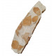 fossil leaf