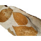 fossil leaf