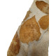 fossil leaf