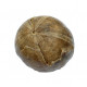 gymnodiadema choffati
