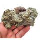Eocharcarias sp. Dent de dinosaure Theropode 