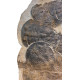 dikelokephalina brenchleyi