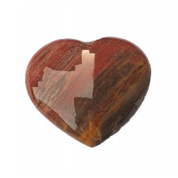Mini fossil wood heart