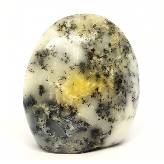 Dendritic Opal Free Form