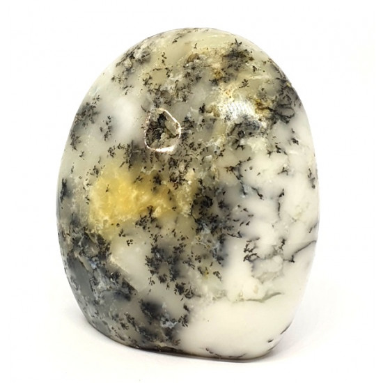 Dendritic Opal Free Form