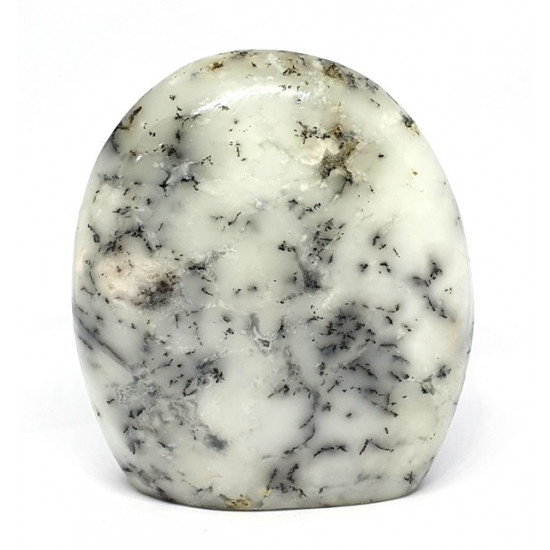Dendritic Opal Free Form