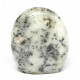 Dendritic Opal Free Form