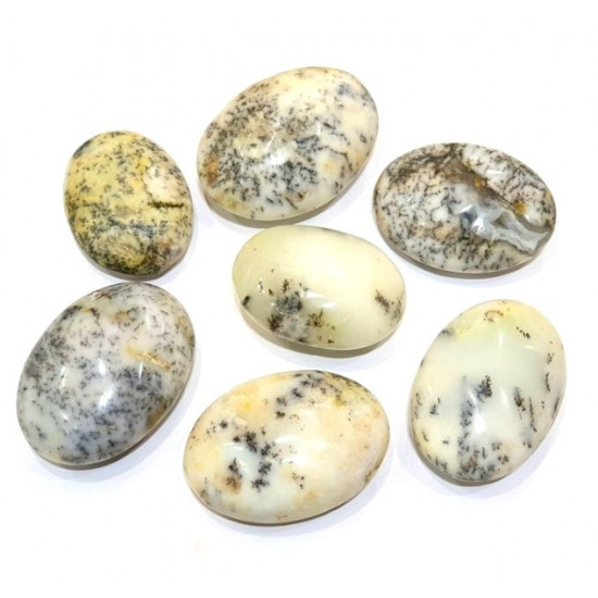 palm stone dendritic opal
