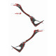 Phosphatodraco mauritanicus (Pterosaure) Phosphatodraco mauritanicus (Pterosaure)
