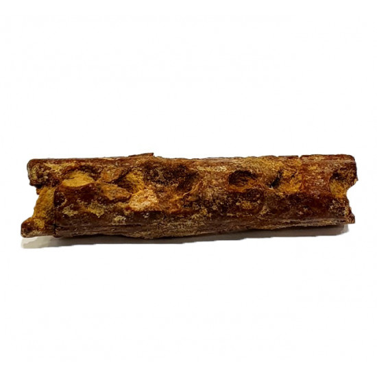 elosuchus cherifiensis (mandible)
