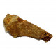 elosuchus cherifiensis (mandible)