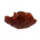 elosuchus cherifiensis (mandible)
