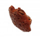 elosuchus cherifiensis (mandible)