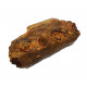 elosuchus cherifiensis (mandible)