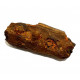 elosuchus cherifiensis (mandible)