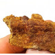 hamadasuchus rebouli (mandible)