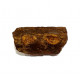 elosuchus cherifiensis (mandible)